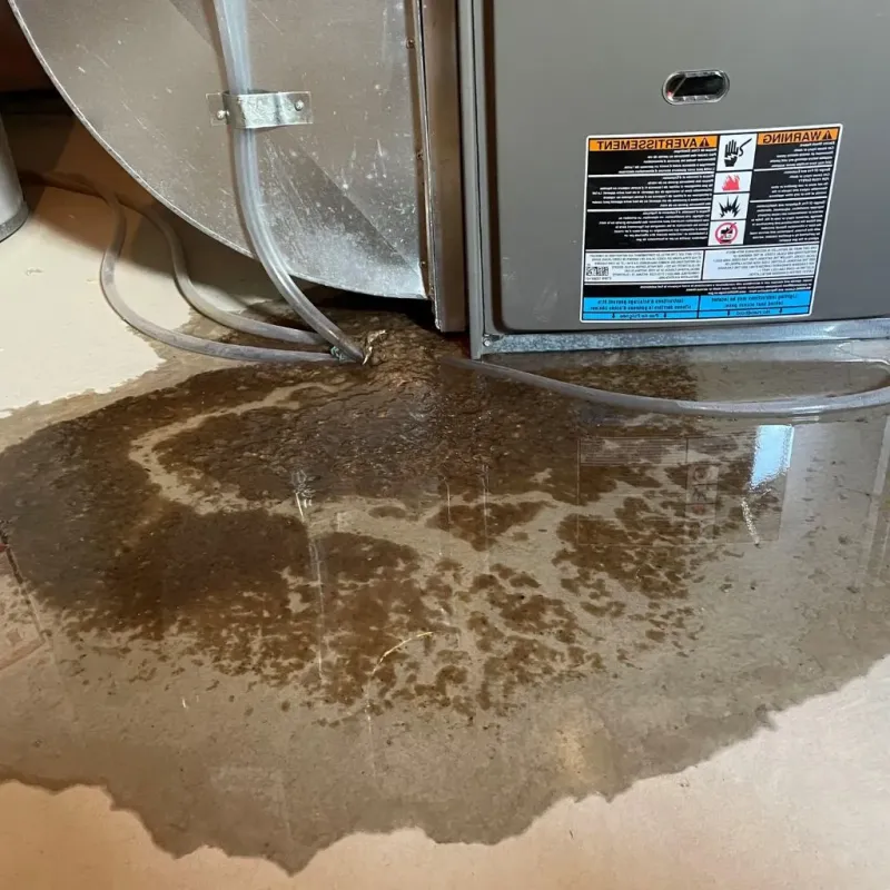 Pipe Burst and Leak Restoration in Lawrence Park, PA